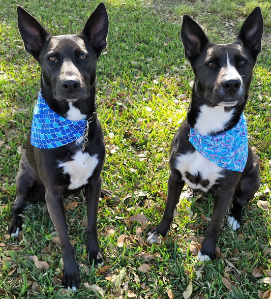 Bandanas