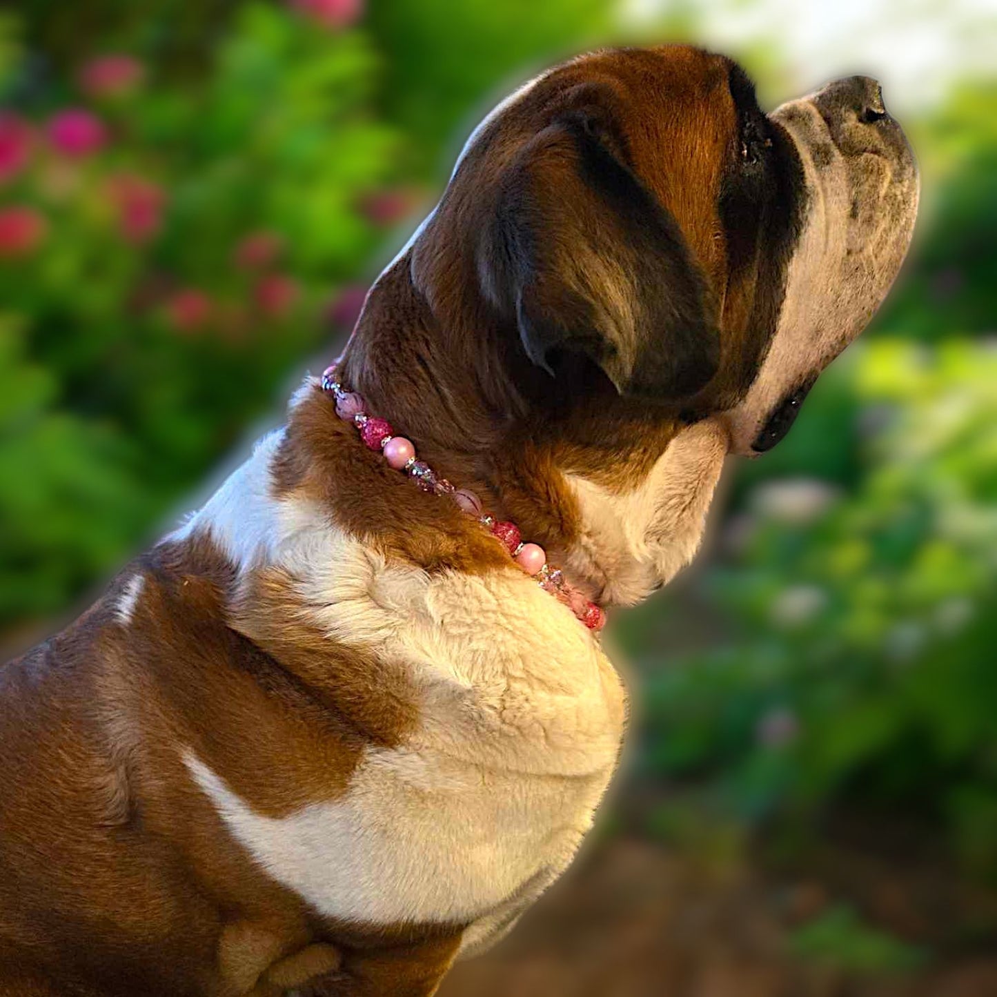 Custom Beaded Collars - Acrylic Beads